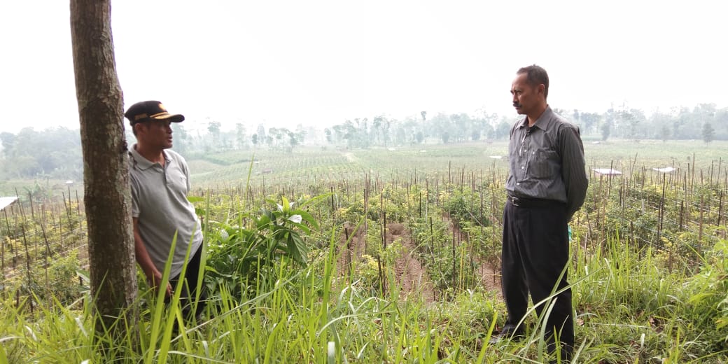 Salah satu petani Desa Ngantru berbincang dengan Rombongan Ditjen Hortikultura Kementan