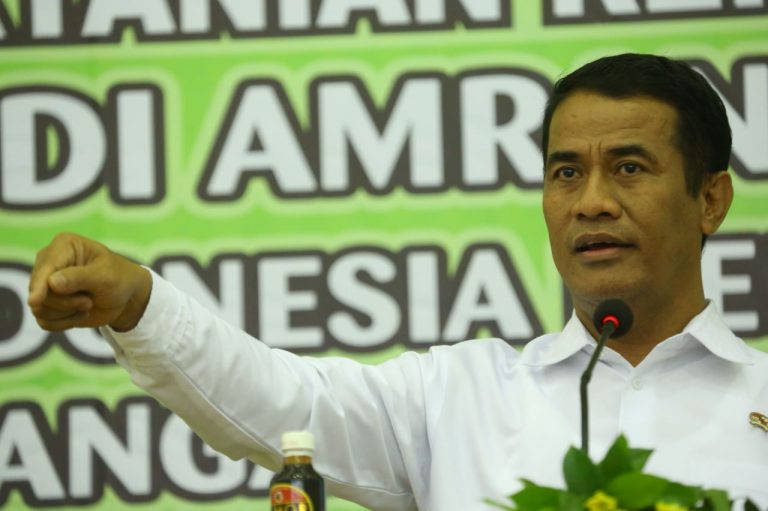 Izin Impor Bawang Putih Disalahgunakan, Ini Reaksi Menteri Amran