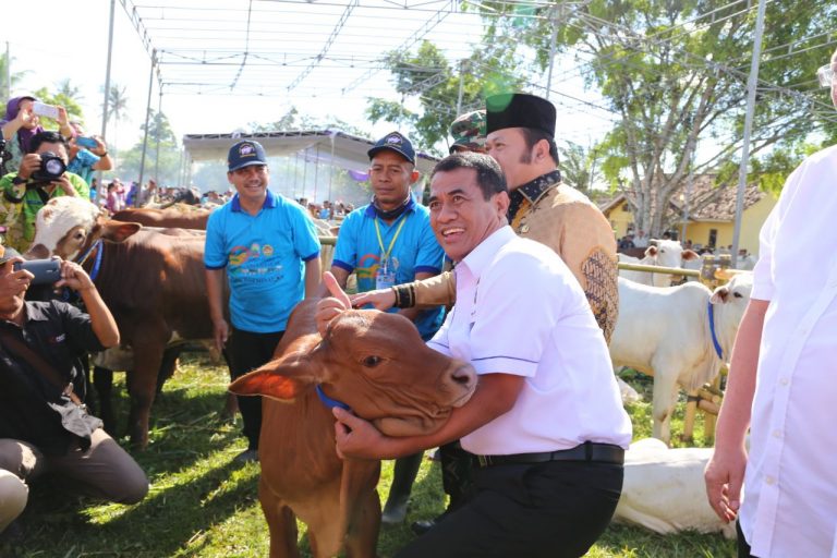 Mentan : Swasembada Protein bukan Daging Sapi