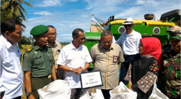Panen Berlimpah, Saatnya Mengisi Cadangan Beras Pemerintah