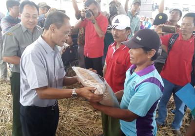 Urai Kemiskinan, Kementan Bentuk Kawasan Mandiri Pangan