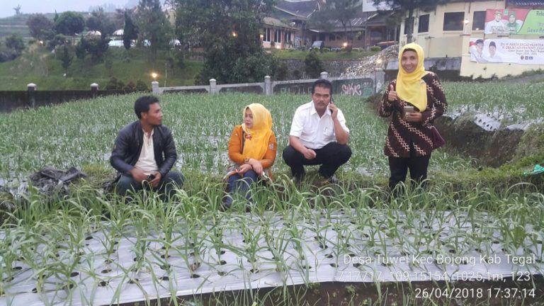 Khofifah : Pertumbuhan Benih Bawang Putih Dari India dan Mesir Bagus