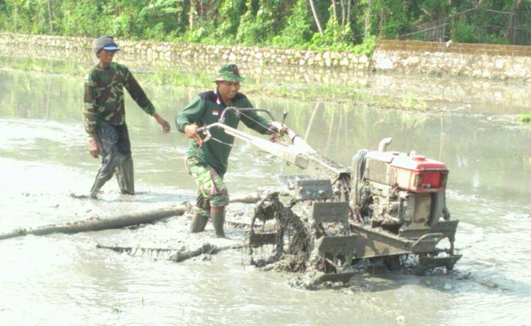 Kodim 0723 Klaten Antusias Kawal Peningkatan Produksi Padi