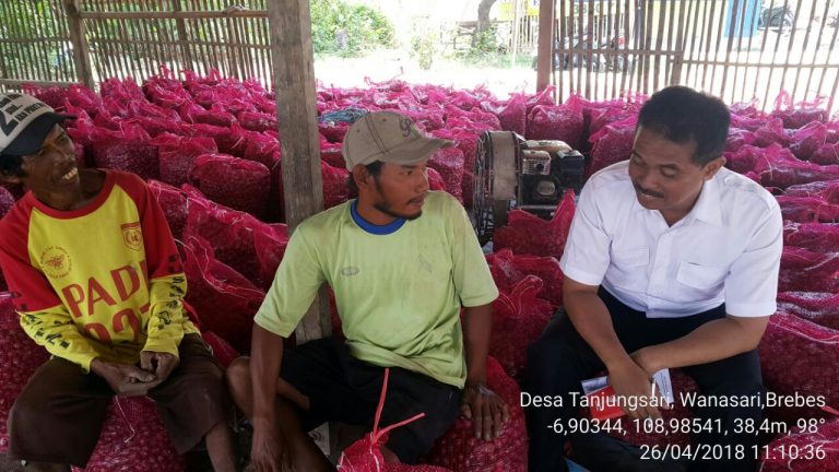 Kementan: Industri Pasta dan Ekspor Solusi Bawang Merah di Brebes