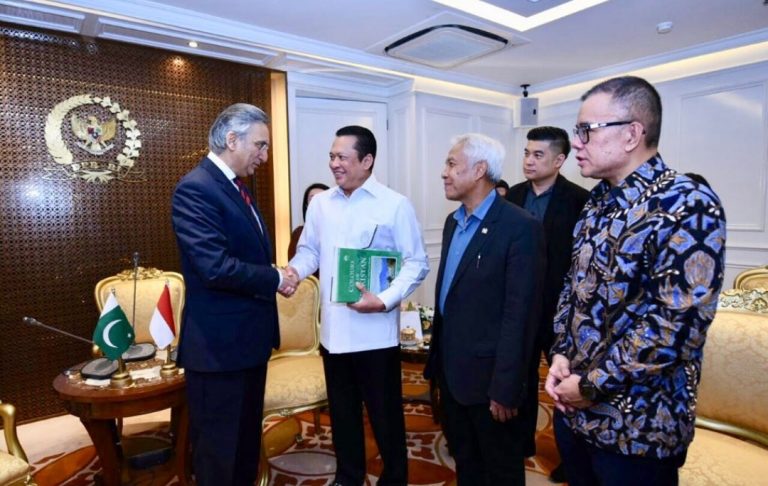 Tingkatkan Kerjasama, DPR Siap Jembatani Urusan Indonesia-Pakistan