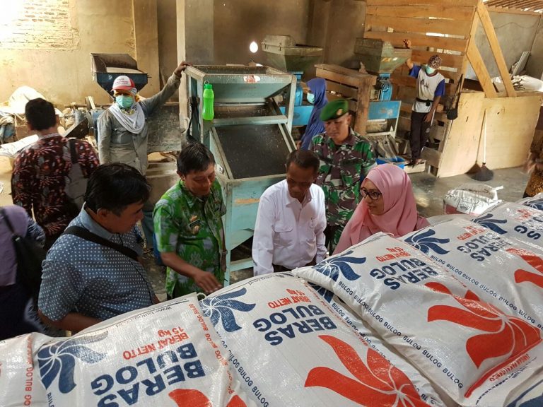 BPS: September NTP Naik dan Harga Gabah Terjaga