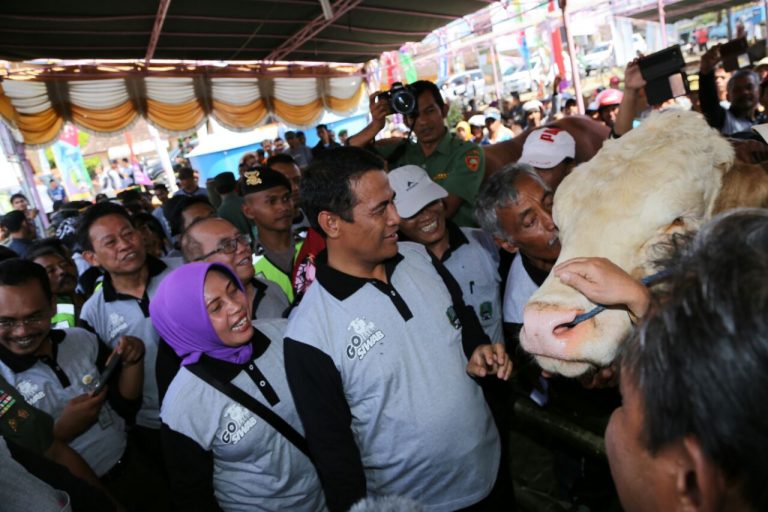 Panen Pedet di Magetan, Mentan: Protein Hewani Harus Kita Tingkatkan