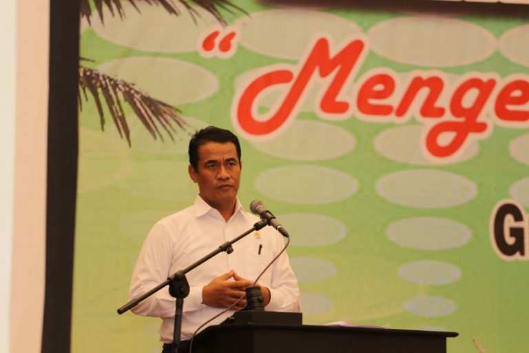 Mentan Targetkan Produktivitas Kelapa Dalam Meningkat 300 Persen