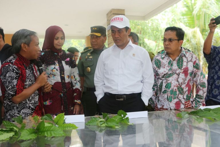 Kementan Siapkan 2 Juta Batang Kopi Varietas Super untuk Petani Kopi