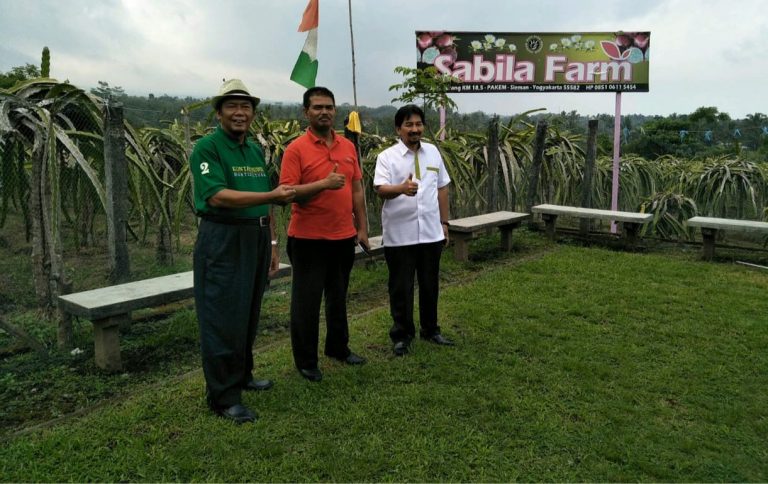 Majukan Buah Naga, Dirjen Hortikultura Berkunjung ke Wisata Agro Sleman