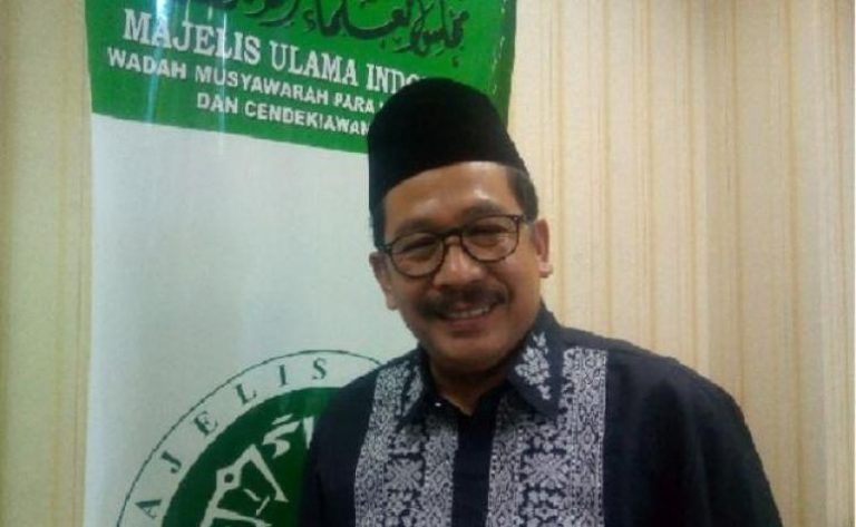 Jadi Anggota Kembali DK PBB, MUI Ingatkan Pemerintah Jokowi Soal Ini