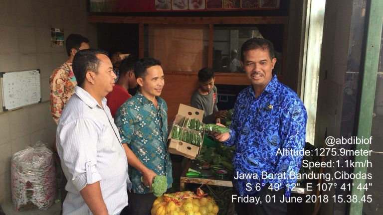 Kementan Ekspor Baby Buncis Super ke Singapura