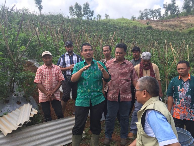 Harga Cabai dan Bawang Selama Ramadhan Normal Stabil