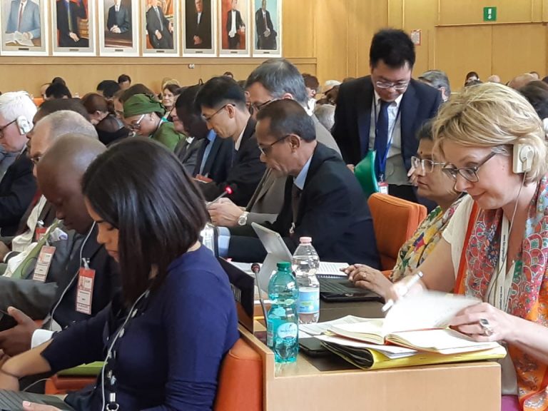 Indonesia Berjuang Tingkatkan Keterwakilan SDM di FAO