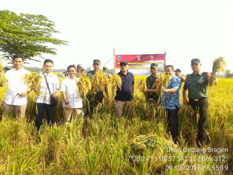 DPR Apresiasi Hasil Produksi Gabah Petani untuk Pemenuhan Stok Beras