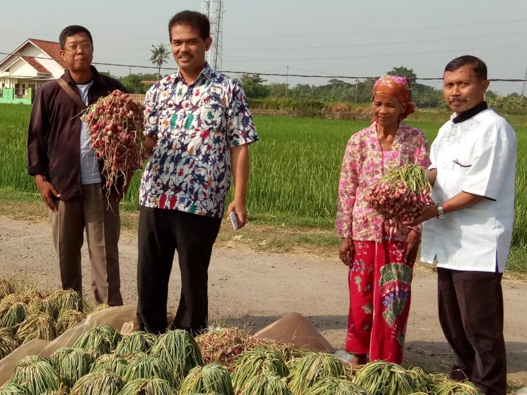 Petani Brebes Siap Ekspor Bawang Putih