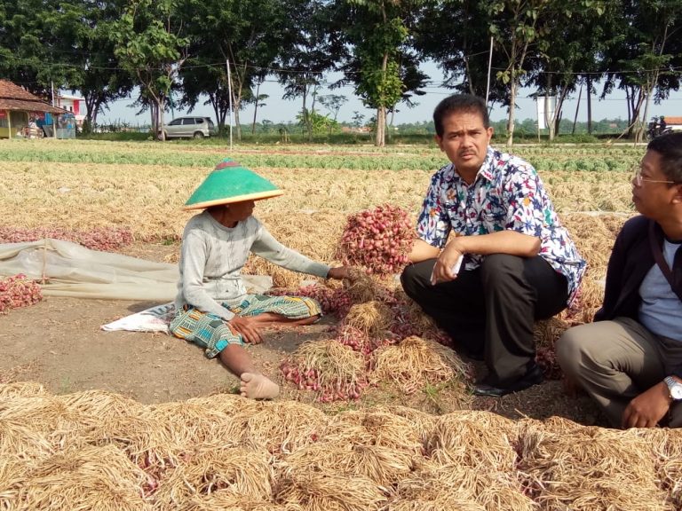 H-1 Idul Adha, Harga Cabai dan Bawang Stabil
