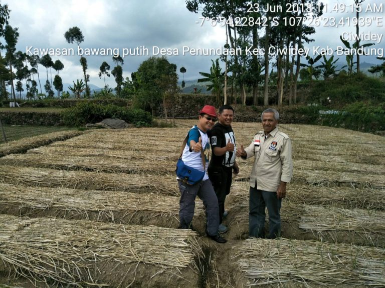 Kementan Lirik Potensi Lahan di Ciwidey untuk Wujudkan Swasembada Bawang Putih