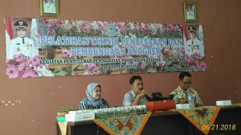 Kementan Dukung Agribisnis Anggrek Jabodetabek