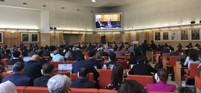 Kepala BKP Kementan Pimpin Delegasi RI dalam Sidang FAO KE-159 di Roma