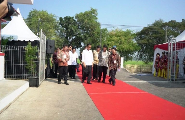 Jokowi Resmikan Program Digitalisasi Pertanian di Indramayu