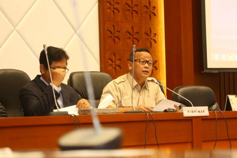 Komisi IV DPR RI Apresiasi Ekspor dan WTP Kementan