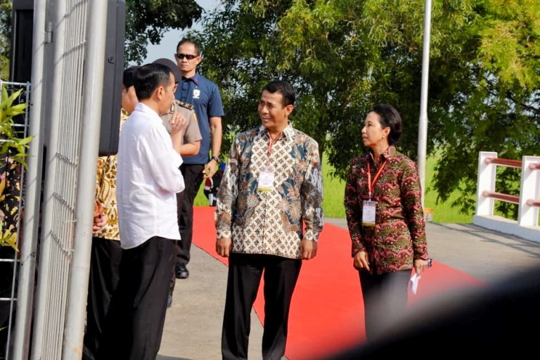 Mentan Amran Sulaiman Siap Kembangkan Kawasan Pertanian Modern