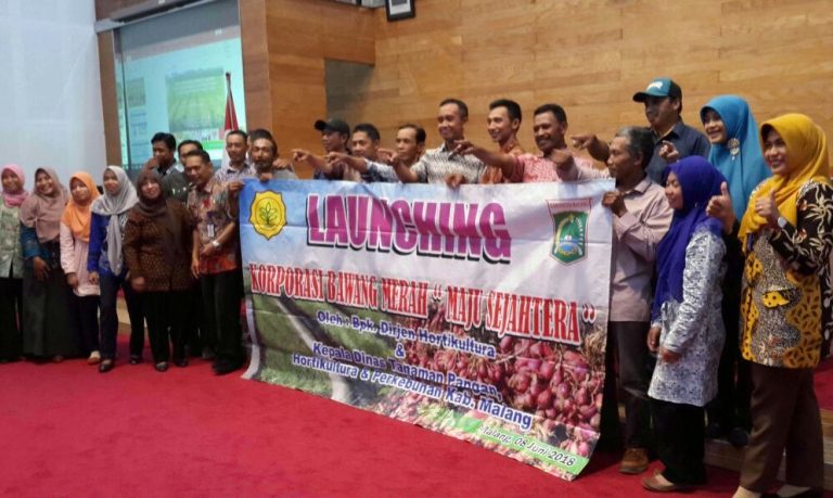 Keroyokan Wujudkan Korporasi Petani Bawang di Malang