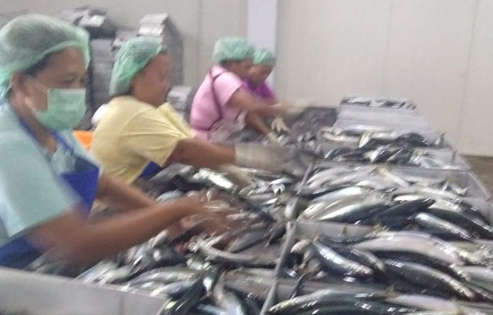 Industri Perikanan Kabupaten Bantaeng