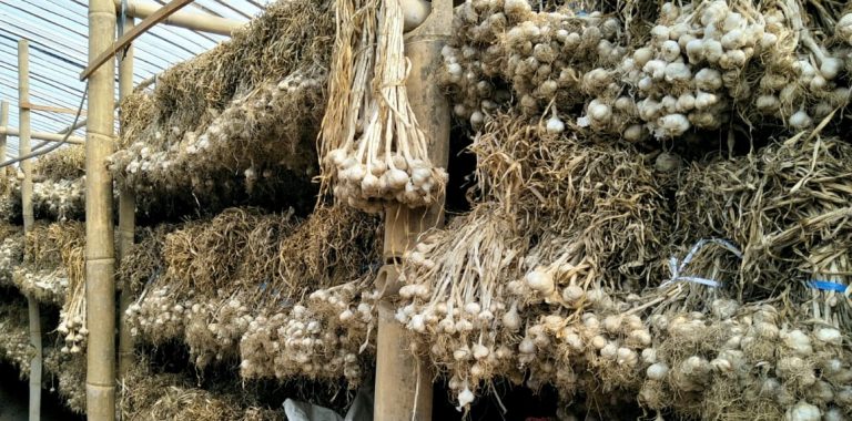 Paska Lebaran, Gerindra Curiga Harga Bawang Putih Dimainkan
