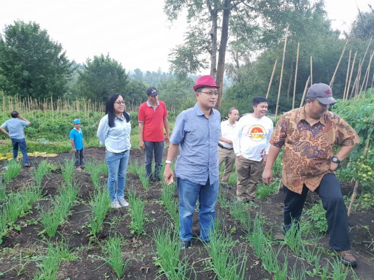 Kawasan Kaki Gunung Sopotan Minahasa Jadi Penyangga Cabai dan Bawang Merah