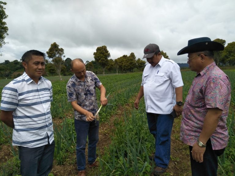 Kawasan MODASI: Surga Pengembangan Sayuran dan Bawang Putih
