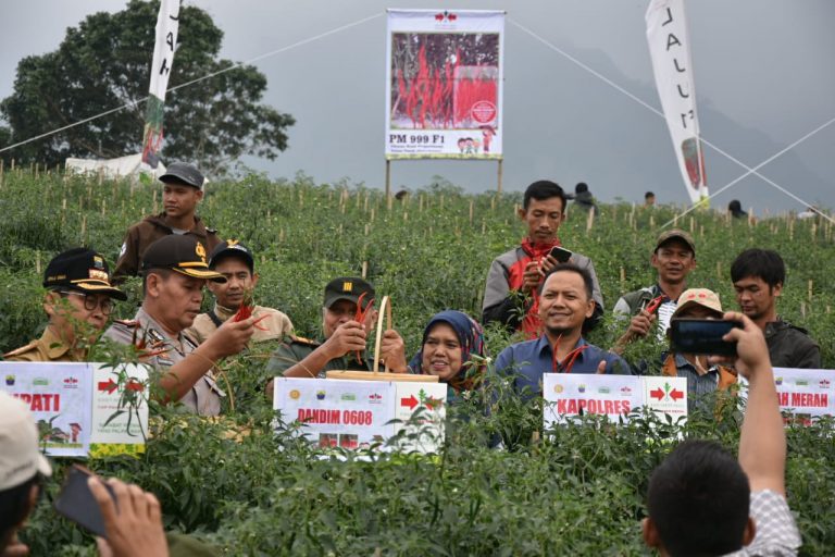Kementan Mantapkan Cianjur Sebagai Penyangga Cabai Jabodetabek