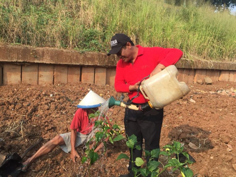 Mentan Dorong Bantaran BKT Optimalkan Pasokan Sayuran di Jakarta