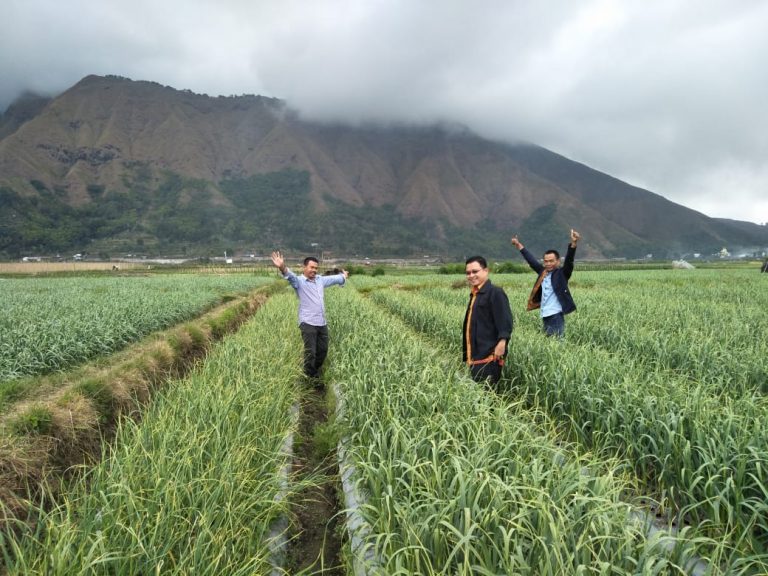 Sembalun – Kaki Gunung Rinjani Penyangga Bawang Putih Nasional