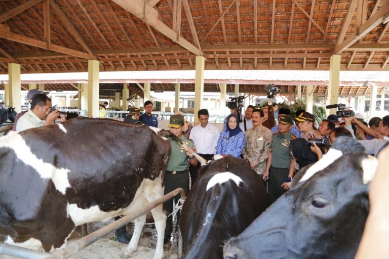 Menteri Amran: Inovasi Produk Pertanian Harus Sejahterakan Rakyat