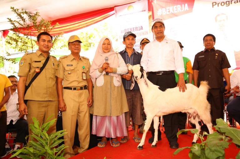Pemerintah Terus Genjot Program Bekerja Berbasis Pertanian