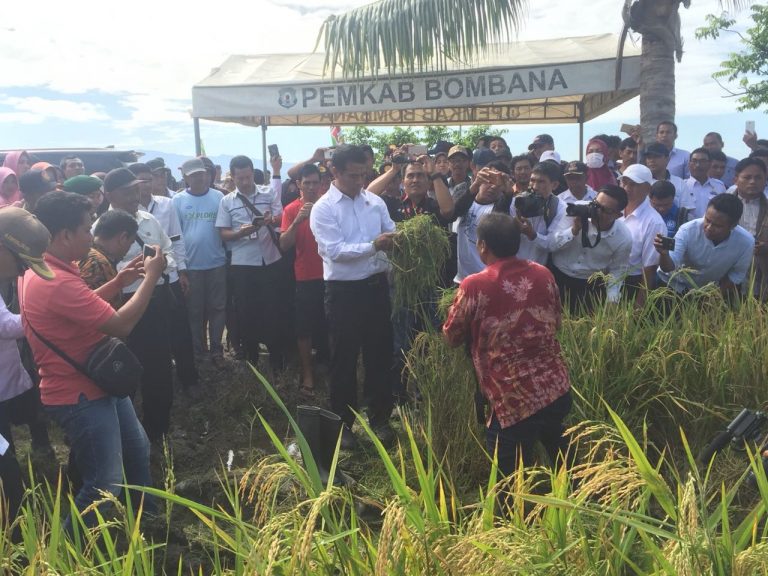 Menteri Amran Bangun Pabrik Gula Terbesar di Indonesia