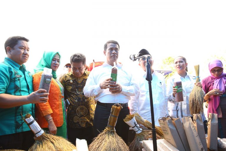Kementan Dorong Buton Utara Kembangkan 5 Ribu Hektar Padi Organik