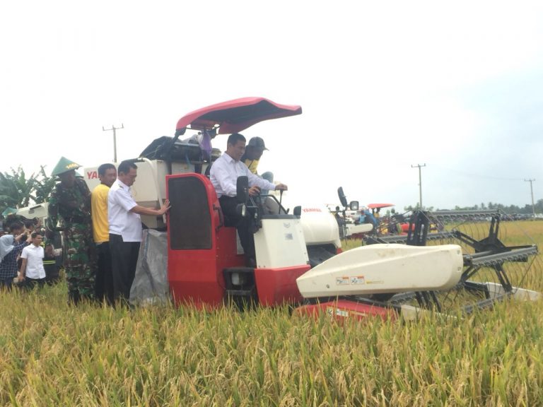 Kementan: Harga Beras Turun Petani Tetap Untung