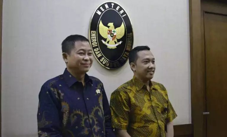 Dinilai Efektif Digunakan Sebagai Pembangkit, Tusina Baraseger Mulai Dilirik Industri