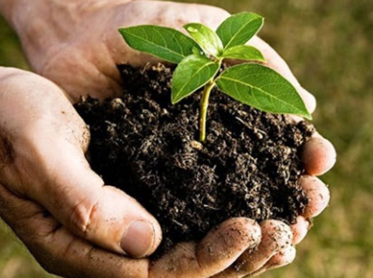 Balitbang Kementan Hasilkan Pupuk Organik Cair dari Limbah Pertanian