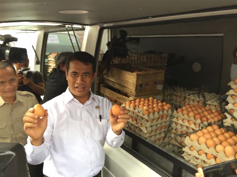 Operasi Pasar Kementan untuk Stabilkan Harga Telur