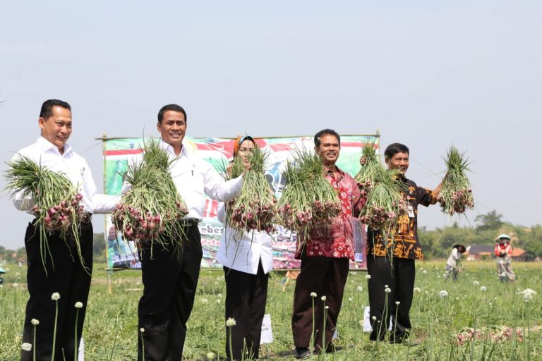 Indonesia Kembali Ekspor 5.600 Ton Bawang Merah ke Thailand