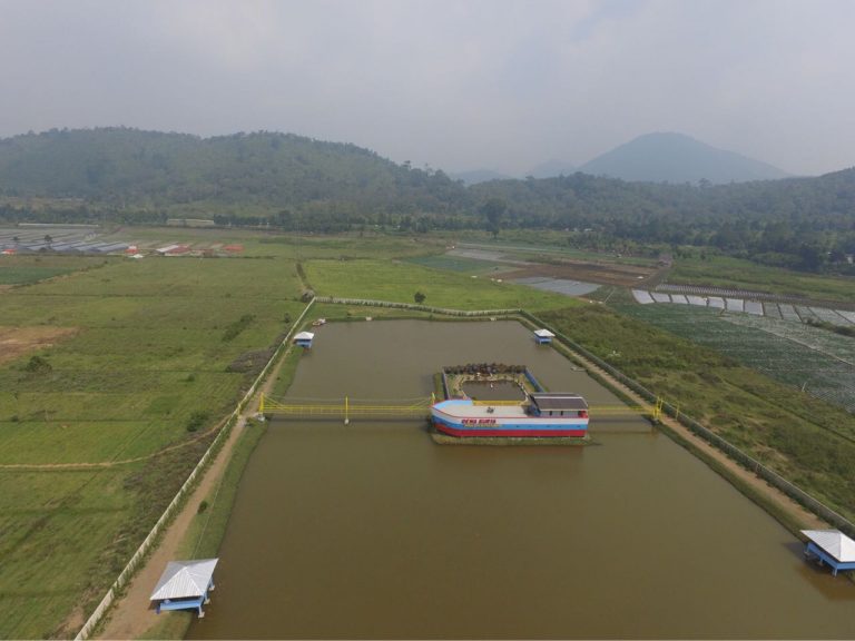 Pertamina Geothermal Energi Revitalisasi Danau Pangkalan