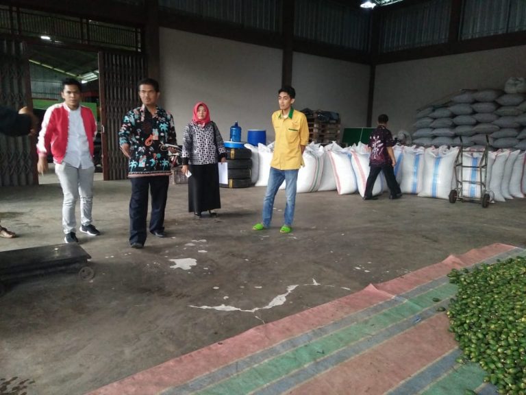 Menteri Amran Dorong Sumbar Ekspor Manggis 10.000 Ton ke China