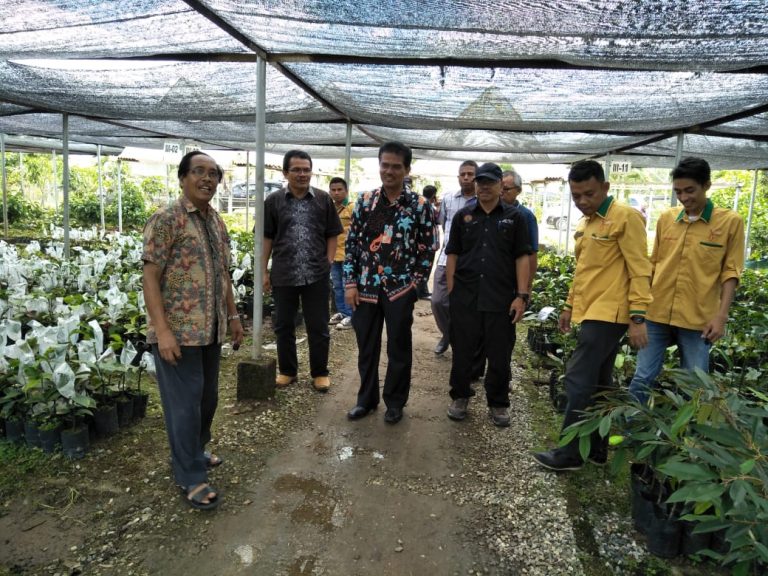 Desember 2018, Sumbar Siapkan Ekspo dan Kontes Durian Terbesar