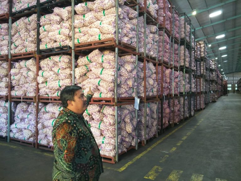 Kementan Dorong Wajib Tanam dan Berproduksi Bawang Putih bagi Industri Makanan