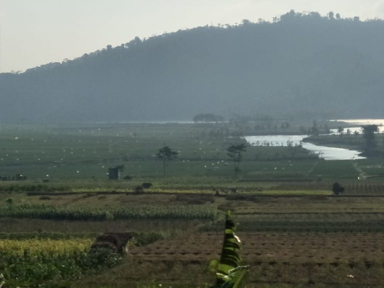 Kementan Dorong Kawasan Bawang Merah berbasis Korporasi Ngantang Malang