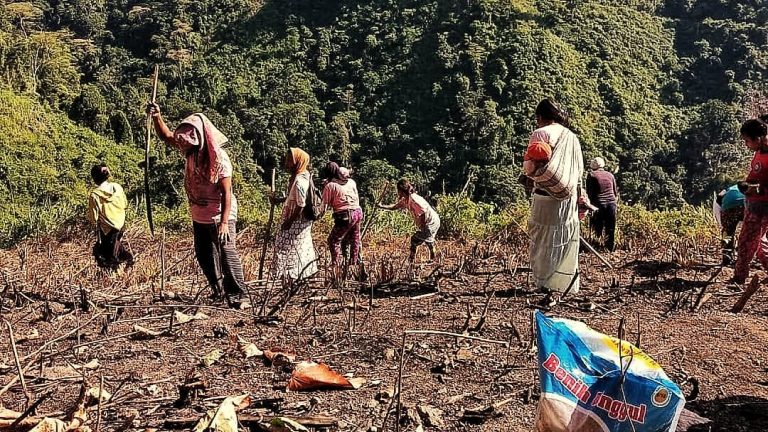 Kementan Optimis jaga Produksi Padi di Musim Kering